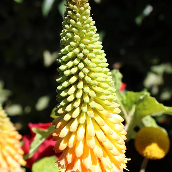 体育下注棋牌游戏